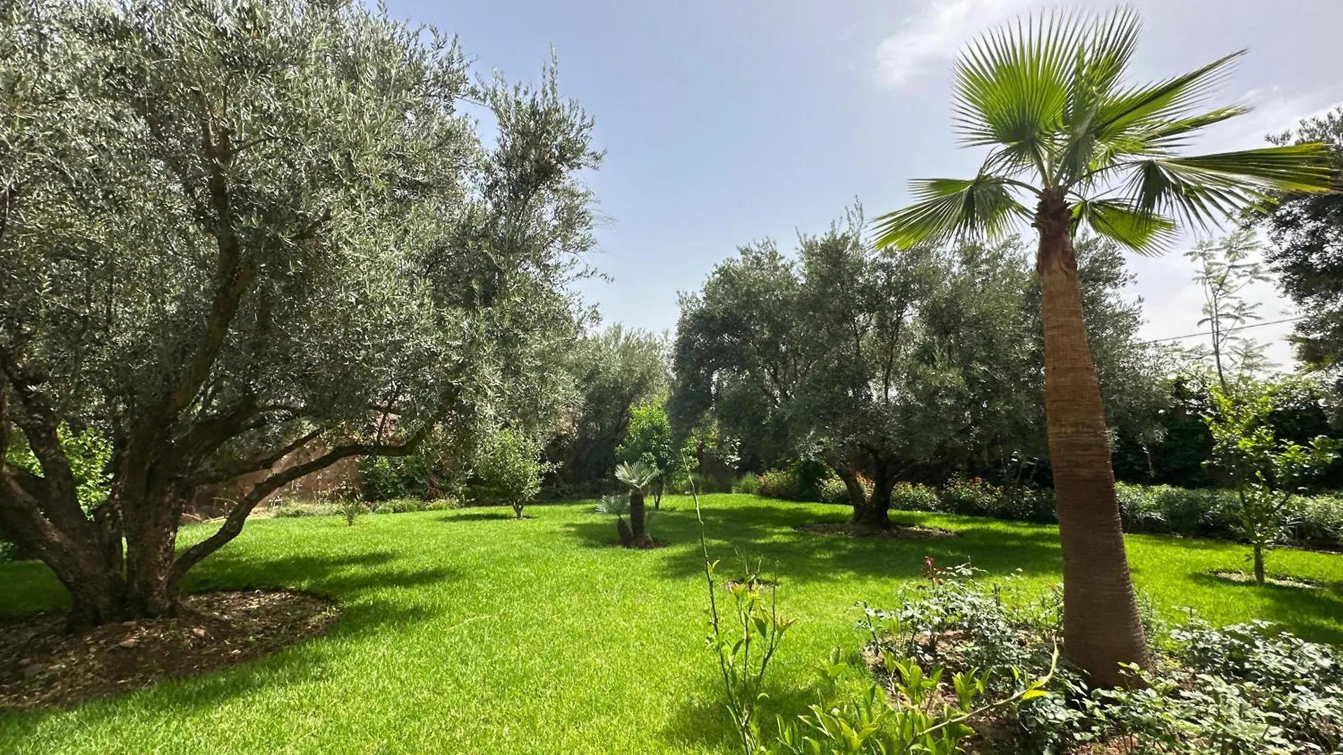 Villa Kamelia & Piscine & Hammam Marakeş